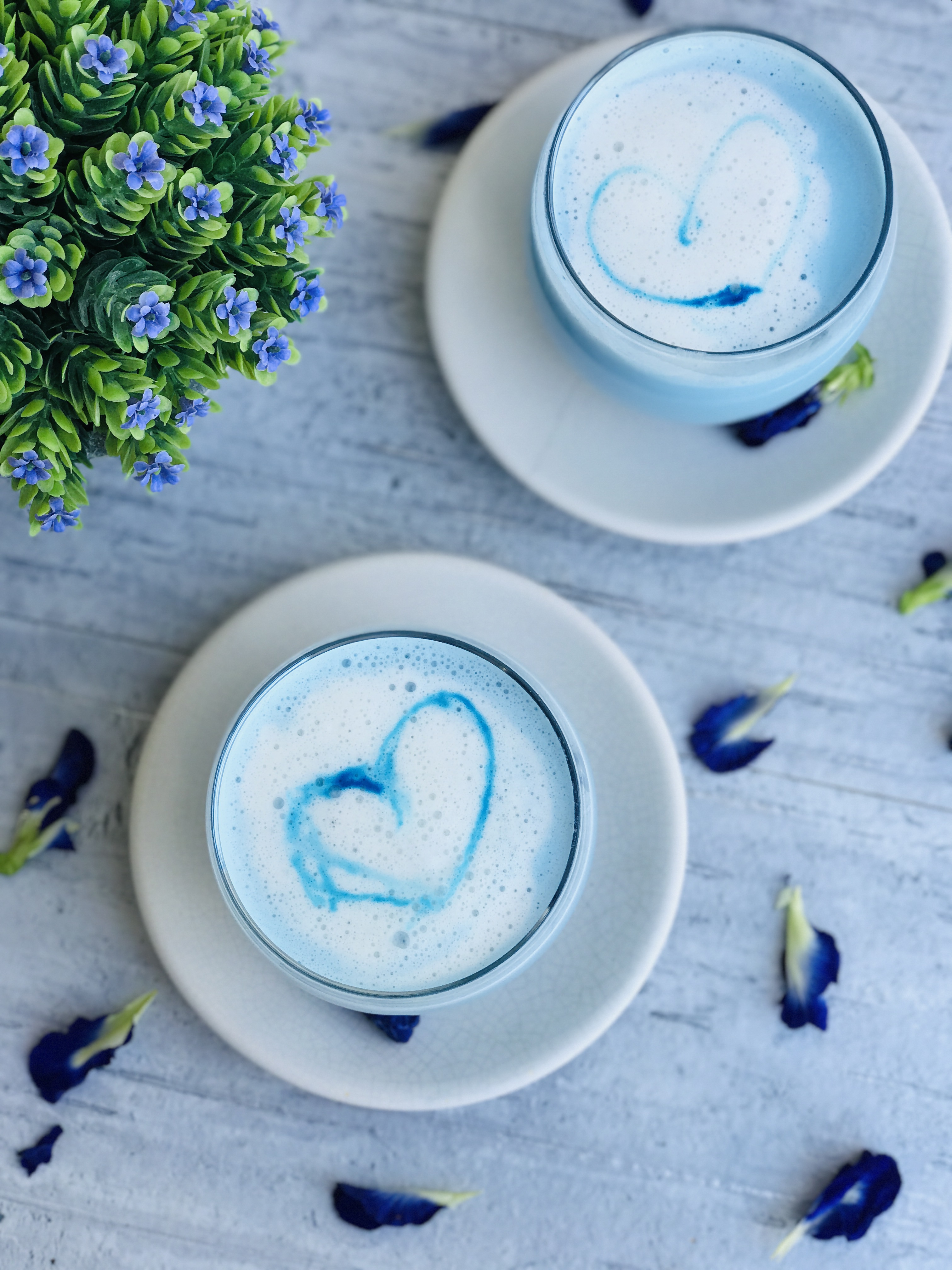 Butterfly Pea  Tea Latté